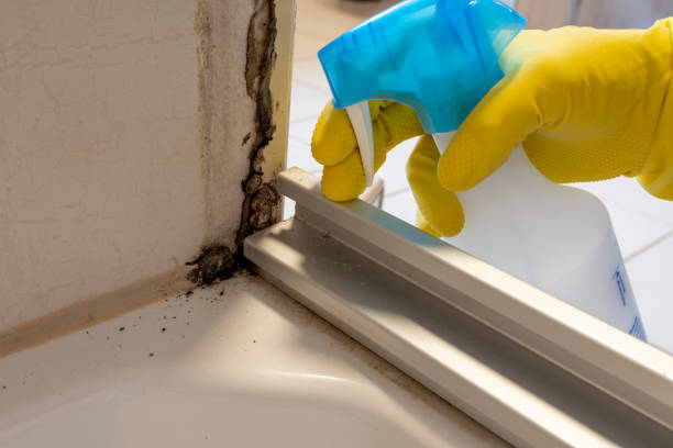 Best Crawl Space Mold Removal  in Sergeant Bluff, IA